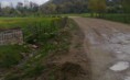 /album/resim-galerisi/a964634-533986346648469-659318289-o-jpg/